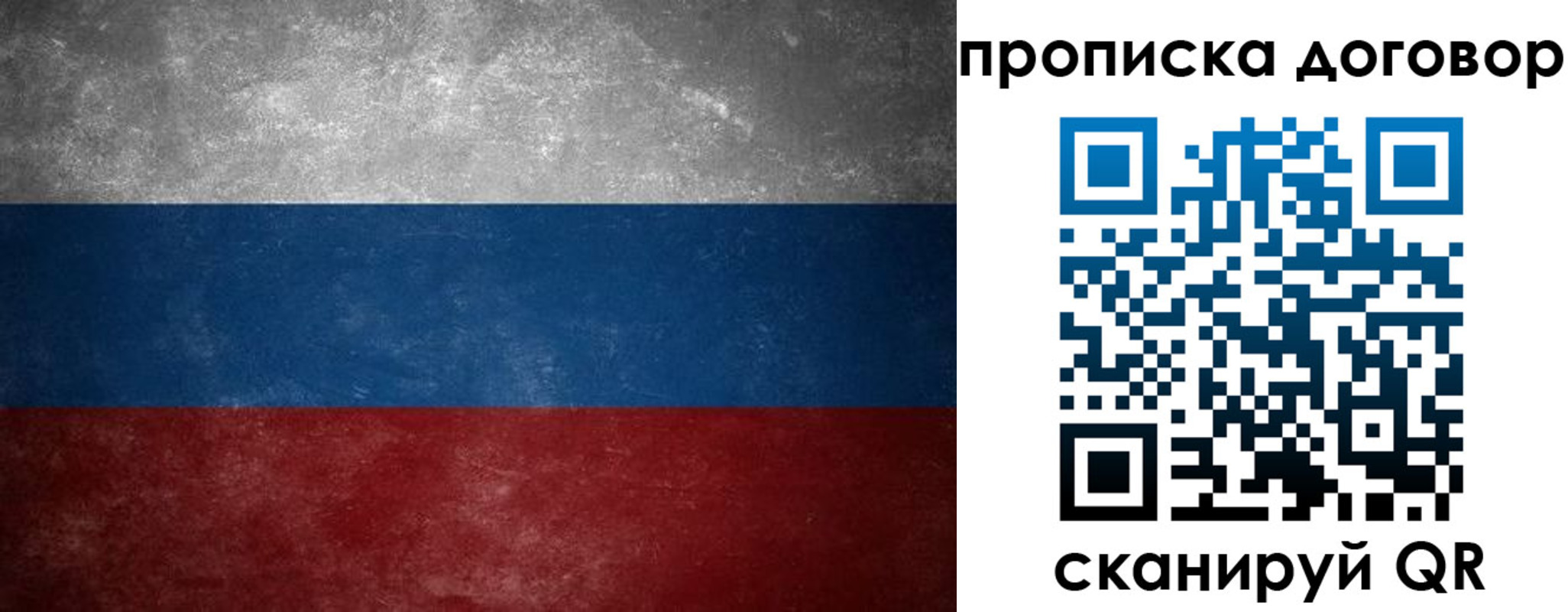 прописка поиск в Тольятти